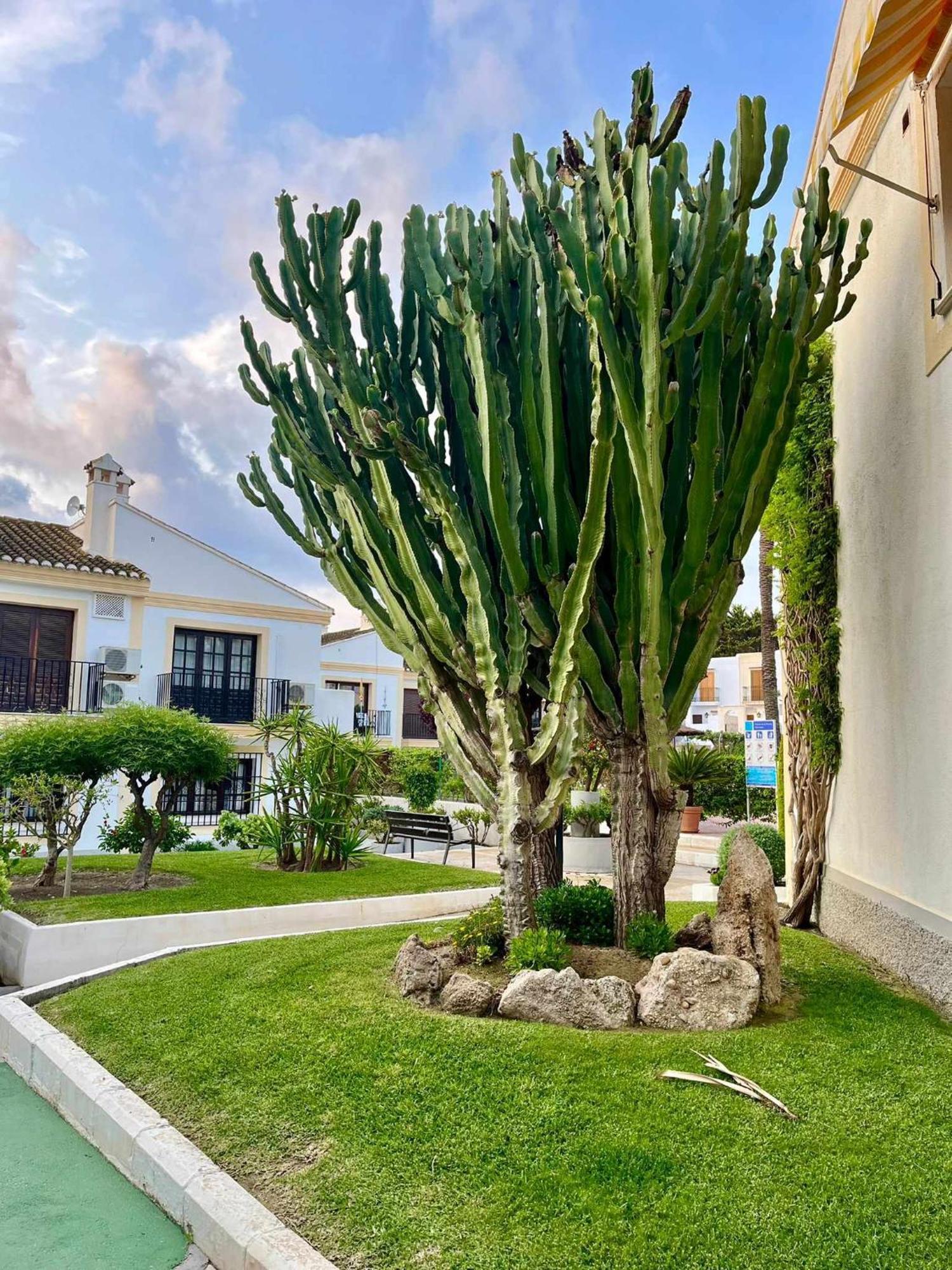 Apartamento Vera Coast 123 Playas de Vera Εξωτερικό φωτογραφία