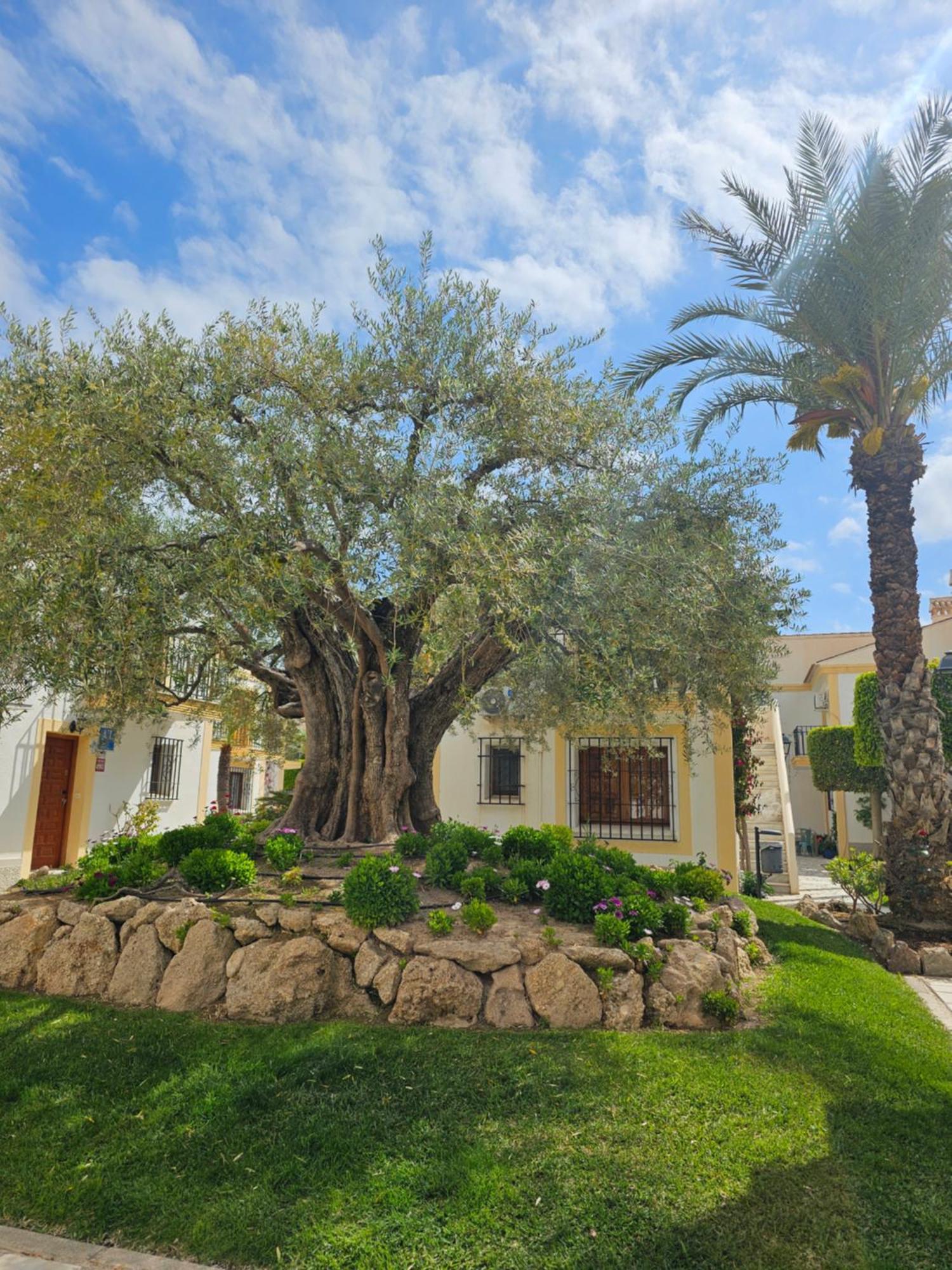 Apartamento Vera Coast 123 Playas de Vera Εξωτερικό φωτογραφία
